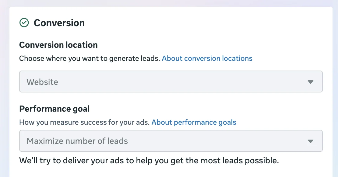 Meta Ads Conversion-Ort und Performance-Ziel auf maximale Leads eingestellt